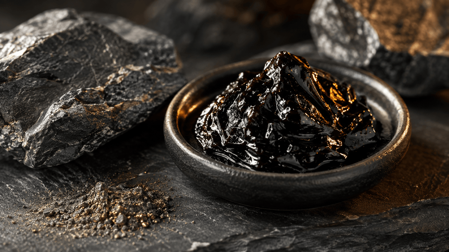 Dark shilajit resin in a ceramic dish on slate with mountain stones, showing the mineral-rich texture of the Himalayan supplement
