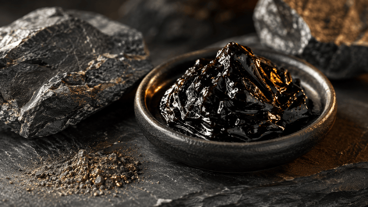 Dark shilajit resin in a ceramic dish on slate with mountain stones, showing the mineral-rich texture of the Himalayan supplement