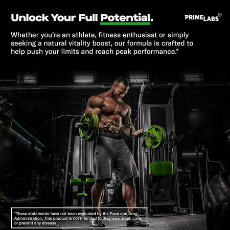 Muscular man performing barbell biceps curls in a gym — Prime Labs Tribulus Terrestris helps push limits and reach peak performance