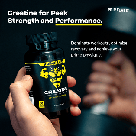 Hands holding Prime Labs Creatine bottle — creatine monohydrate for peak strength, performance, recovery and prime physique
