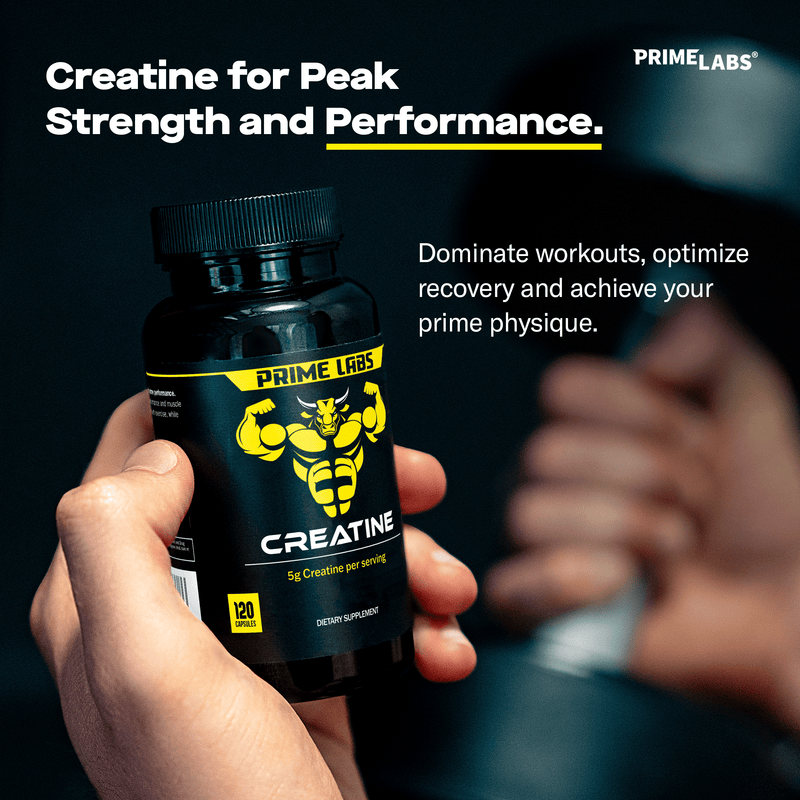 Hands holding Prime Labs Creatine bottle — creatine monohydrate for peak strength, performance, recovery and prime physique
