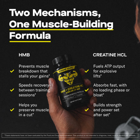 HMB + Creatine HCl