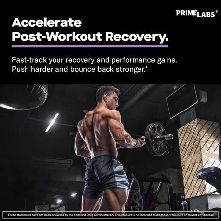 Muscular man performing barbell rows in a gym — Prime Labs L-Glutamine accelerates post-workout recovery and performance gains